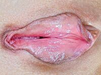 Zdjęcia Cipek - Zbliżenia - 56 Niesamowitych Fotek