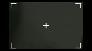Usiadła wujaszkowi na badylku